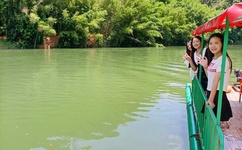 网游之风流骑士图片